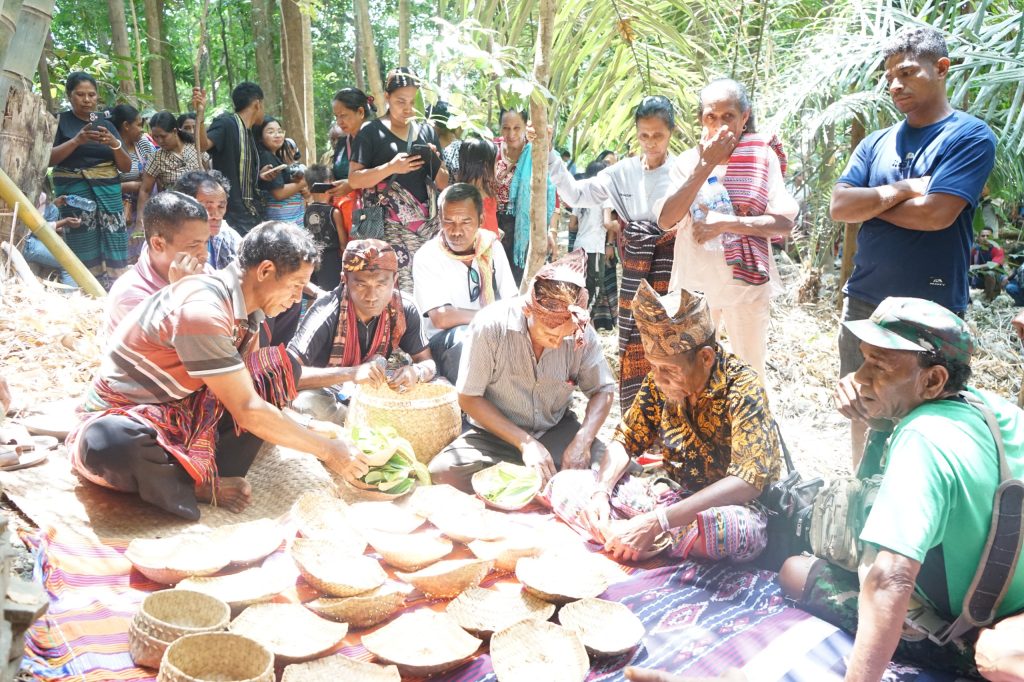 Ritual Haluli Suku Leoklaran di Belu wajib digelar saat membangun rumah adat, jadi bentuk penghormatan leluhur dan permohonan restu/Foto: Media Center Belu
