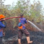 Tim BPBD Kabupaten Bulungan berupaya memadamkan api yang membakar lahan di dua kecamatan yang ada di Kabupaten Bulungan, Provinsi Kalimantan Utara/Foto: Humas BPBD Kabupaten Bulungan