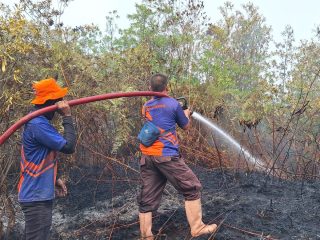 Tim BPBD Kabupaten Bulungan berupaya memadamkan api yang membakar lahan di dua kecamatan yang ada di Kabupaten Bulungan, Provinsi Kalimantan Utara/Foto: Humas BPBD Kabupaten Bulungan