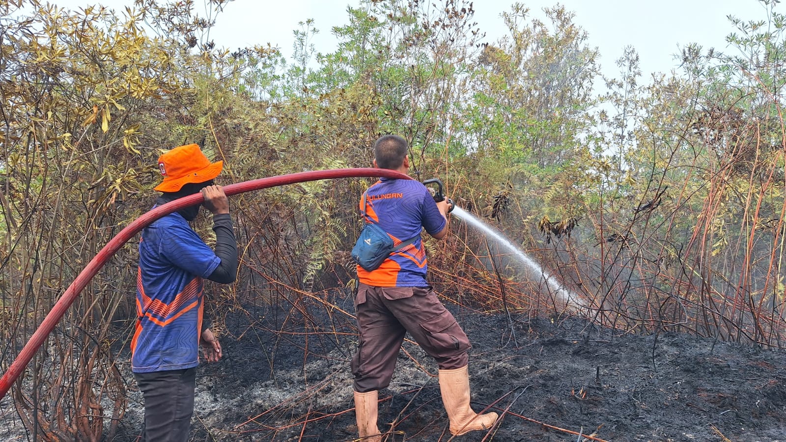 Tim BPBD Kabupaten Bulungan berupaya memadamkan api yang membakar lahan di dua kecamatan yang ada di Kabupaten Bulungan, Provinsi Kalimantan Utara/Foto: Humas BPBD Kabupaten Bulungan