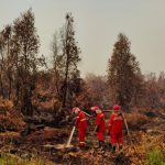 Komisi IV DPR Soroti Korban Jiwa akibat Karhutla