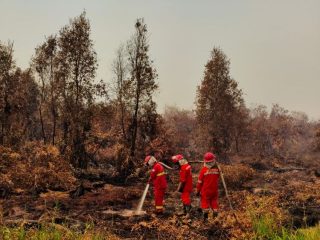 Komisi IV DPR Soroti Korban Jiwa akibat Karhutla