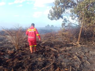 Tim Manggala Agni tempuh 8 jam padamkan karhutla di Rokan Hilir. Drone digunakan untuk pemetaan dan strategi pemadaman di Desa Pulau Serdang/Foto: Media Center Riau